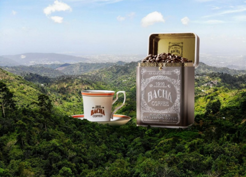 诗意秋季，BACHA COFFEE与您共赴这迷人的季节，探寻无限世界(图5)