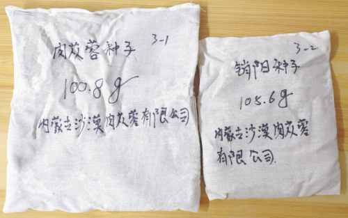 太空探险，尽享悠然——揭开肉苁蓉航天育种的崭新篇章(图2)