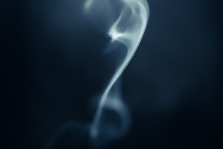 揭秘：狗尾续貂，生肖之谜背后的文化寓意(图4)