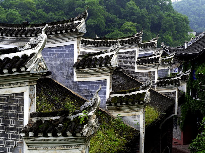 解析龙飞凤舞：揭秘生肖背后的文化意蕴(图2)